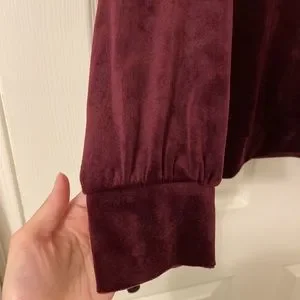 LOFT Velvet Sweatshirt